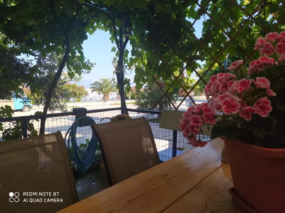 Seaside Deluxe Apartment Skala Kallirakhis Ngoại thất bức ảnh
